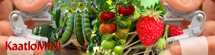 Welcome to Kaatlo Mini. Online